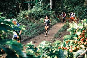 BIB: 
                            <button type="button" onclick="openModal(25837571)" class="btn btn-primary btn-sm float-right btn-popup" data-toggle="modal" data-target=".modal-high-quality">
                        <i class="fas fa-shopping-cart"></i> Add to Cart
                    </button>
                                            <button type="button" onclick="isThisMe(25837571, true)" class="btn btn-success btn-sm float-right btn-popup btn-isme hidden" data-toggle="tooltip" data-placement="bottom" title="นี่คือรูปของคุณใช่ไหม คลิกที่นี่เพื่อเอาเข้าอัลบั้ม">
                        <i class="fas fa-plus"></i> Add to album
                    </button>
                    <button type="button" onclick="isThisMe(25837571, false)" class="btn btn-warning btn-sm float-right btn-popup btn-isnotme hidden">
                        <i class="fas fa-ban"></i> Remove from album
                    </button>